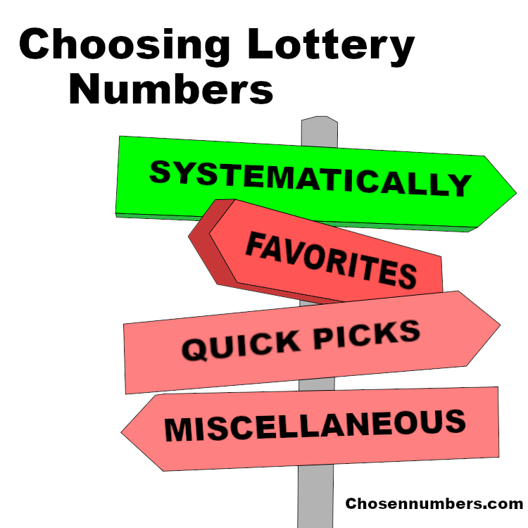 How Should Players Choose Their Lottery Numbers?